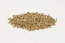 H0/200 Walnutshell granule not impregnated